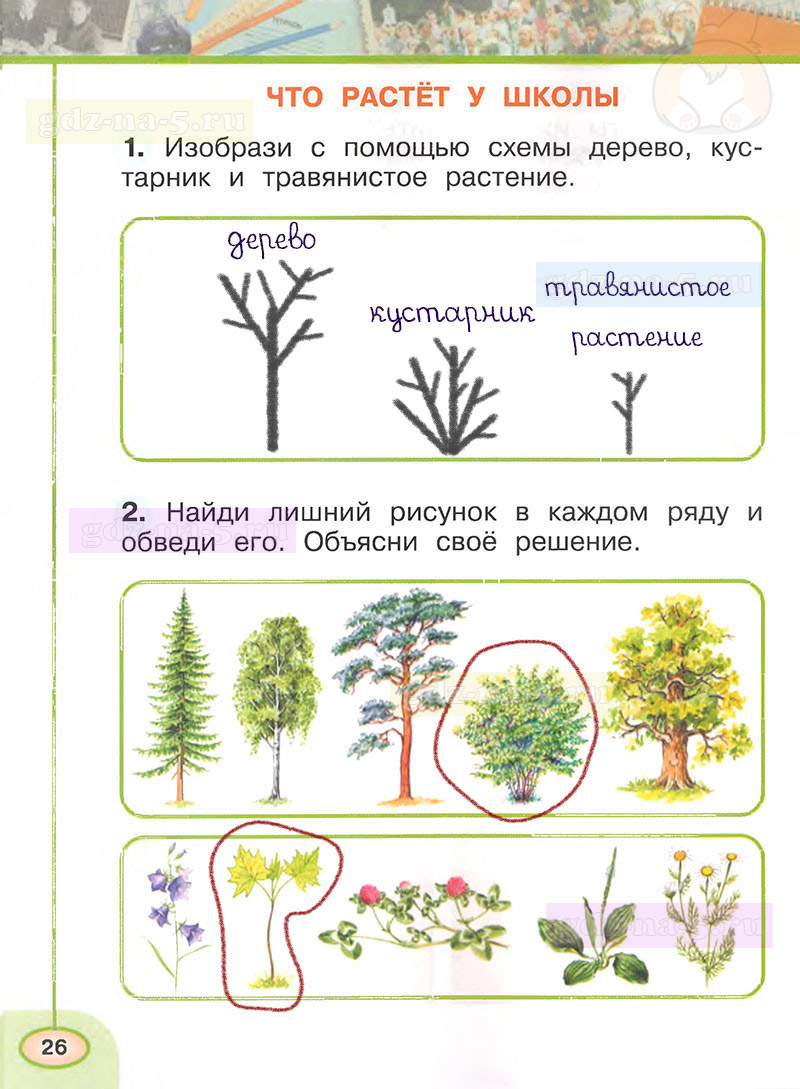 По своим наблюдениям нарисуй какой. Окружающий мир 1 класс рабочая тетрадь задания. Окружающий мир. Рабочая тетрадь. 1 Класс. Часть 1.