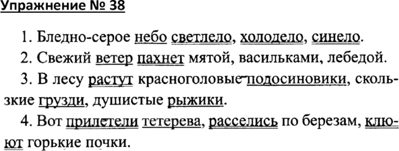 Спиши предложения в порядке схем 4 класс